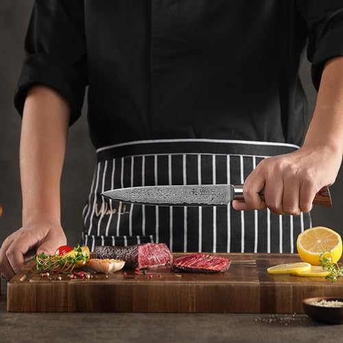 Wakoli EDIB Pro 4-Piece Kitchen Knife Set Made of Damascus Steel (VG10 Core) in Elegant Gift Box - Sharp Damascus Knife Set with Pakka Wood Handles - Knife Set with 2 x Santoku, Meat Knife & Office Knives
