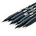 Tombow Dual Brush Pen Art Markers, Landscape, 6-Pack