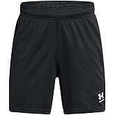 Under Armour Boys Challenger Shorts