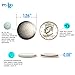 N52 Magnet Neodymium | Strong, Disc, Earth, Rare | Experience The Difference, Experience Molga | 10 Pack - 1.26