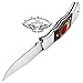 Best.Buy.Damascus1 Blue Wood Custom 5.5'' Handmade Double Bloster Stainless Steel Folding Pocket With Back Lock Come With Leather Sheath Prime Quality (Multi Wood)
