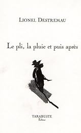 Le  pli, la pluie et puis après