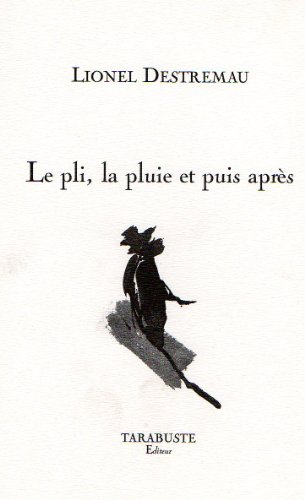 Le  pli, la pluie et puis après