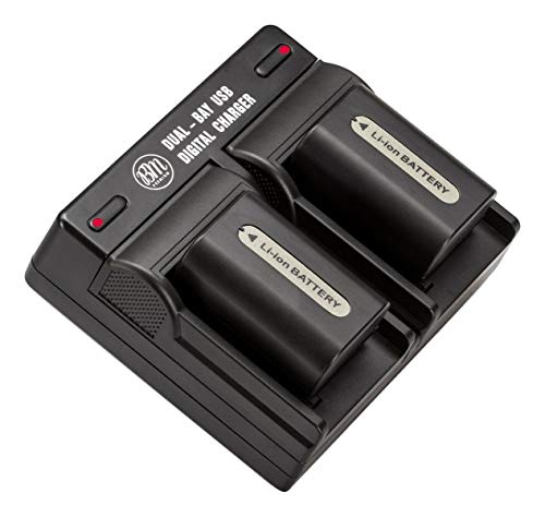 BM Premium 2-Pack of NP-FH50 Batteries and Dual Battery Charger for Sony Cyber-Shot DSC-HX1, DSC-HX100V, DSC-HX200V, HDR-TG5V, DSLRA230, DSLRA290, DSLRA330, DSLRA380, DSLRA390 Digital Camera