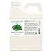 Peppermint Hydrosol (Floral Water) - 16 fl oz Plastic Jug w/Cap - 100% Pure (NOT Oil) - GreenHealth