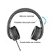 Headphones, JNTworld Headphones with Microphone for Travel, Work, Sport, DJ, Collapsible Classic Headset with Handmade Drivers for iPhone and Android Devices, Black