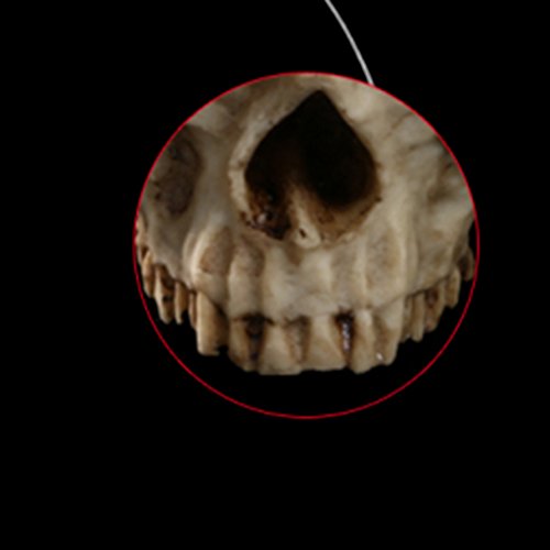 image for Homyl Resin Skull Head Design Flower Pot Planter Container Replica Ske