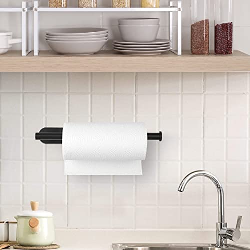 Paper Towel Holder Under Paper Towel Holder Wall Mount Paper 13