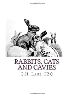 Rabbits Cats And Cavies Descriptive Sketches Of All Recognized