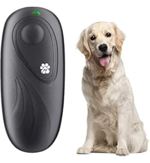 the egg dog bark control