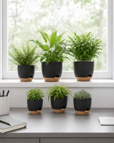 Macetas Autorriego de Interior, Tiesto de Plástico con Base Integrada, Pack de 6 (20/18/17/15/14/13 cm), para Cocina, Balcón, Jardín y Vivero Interior macetas Negro