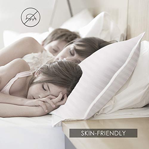 4 COZYDREAM+Quality+Sleeping+Breathable+Skin+Friendly