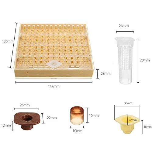 Zqasales Bee Hive Beekeeping King Box Pollination Box Beekeeping Cultivating Tool Cultivating Plastic Box for Garden Pollination