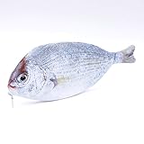 NUOMI Creative Fish Pencil Case Pouch Animals Plush Pen Bag with Zipper Cloth Stationery Coin Organizer Makeup Costmetic Bags, School Supplies, Silver