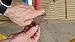 SharkBite 1 Inch Copper Crimp Rings, Pack of 25, PEX Pipe, PE-RT, 23104CP25