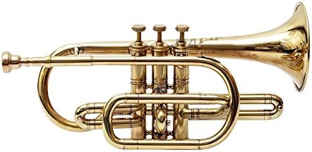 Cornet Finish B Flat Great Look & Sound With Case Mp Gold shry050