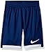 Nike Kids Boy's Dry Training Short (Big Kids)
