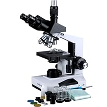AmScope T490B Compound Trinocular Microscope, 40X-2000X Magnification, Halogen Light, Abbe Condenser, 2-Layer Mechanical Stage, High-Resolution Optics, Awarded No. 6 Among The Top 10 Microscopes 2016