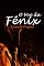 Livro O Voo da Fênix