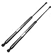 ECCPP Lift Support Hood Replacement Struts Gas Springs Fit For Kia Sorento 3.3L 2008-2009,For Kia Sorento 3.5L 2003-2006,For Kia Sorento 3.8L 2007-2009 Set of 2