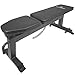 Titan Fitness Adjustable Flat Incline Weight Bench for Free Weights & Dumbbells