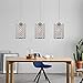 kingmi Plug-in Pendant Lights Dimmable Chandelier with ON/OFF Dimmer Switch and 16.4’ Handing Cord, Chrome Cylinder Style for Bedroom Dining Room and More