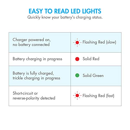 5 Tenergy+Charger+8+4V+9+6V+Connector+Standard