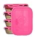 6 Pack Fitness Sure Seal Meal Prep Containers Set of 5 20oz (Black/Neon Pink)