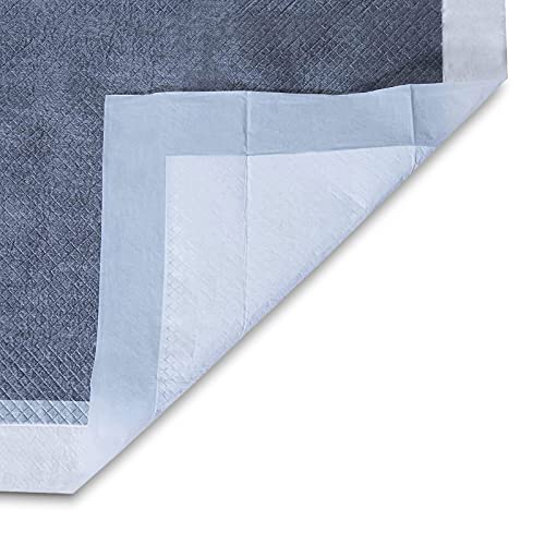 Amazon Basics Dog and Puppy Pee Pads with LeakProof QuickDry Design