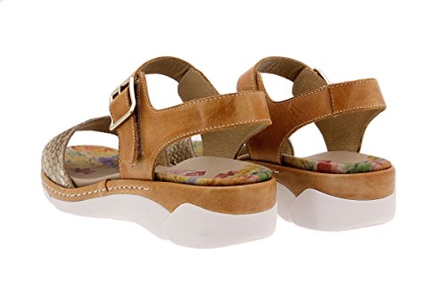 41o2uFBDrFL Zapato Cómodo Mujer Sandalia Plantilla Extraíble 1501 PieSanto Zapato Cómodo Mujer Sandalia Plantilla Extraíble 1501 PieSanto - Imagen 4