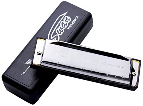 HOMEKE Harmonica Key of C 10 Hole 20 Tone Diatonic Harmonica C Blues with Case for Beginner,Students, Kids Gift