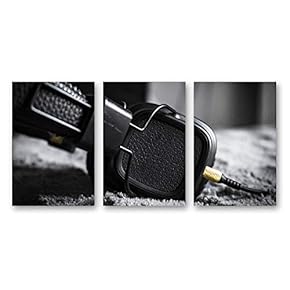 Microphone Home Artwork for Living Room Bedroom x 3 Panels