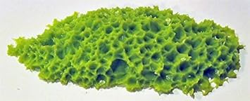 Best Epoxy Resin Molds Beautiful Amethyst Mold Will Create Very