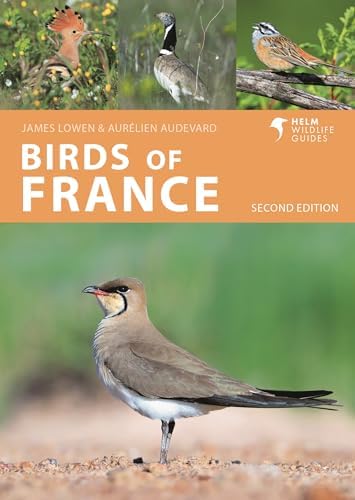 ID Handbook of European Birds: van Duivendijk, Nils, AGAMI Photo