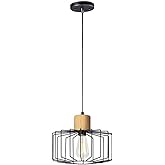 Maxim Bjorn-Mini Pendant 1 Light-11.5 Inches Wide by 10 inches high -Traditional Installation