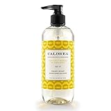 Caldrea Liquid Hand Soap Sea Salt Neroli 10.8 fl oz