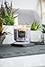 Aromascape 3-Wick Scented Jar Candle, Lavender & Vanilla