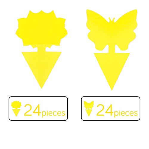 Stingmon A2 Sticky Fruit Fly and Fungus Gnat Trap Killer Indoor and Outdoor, 48 Pack - //coolthings.us