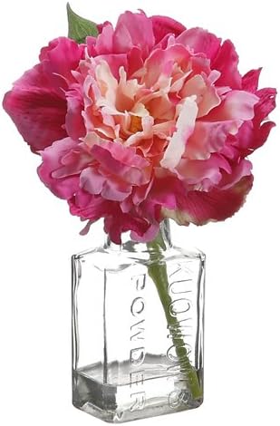 Peony in Glass Vase [Set of 12] Color: Fuschia Pink