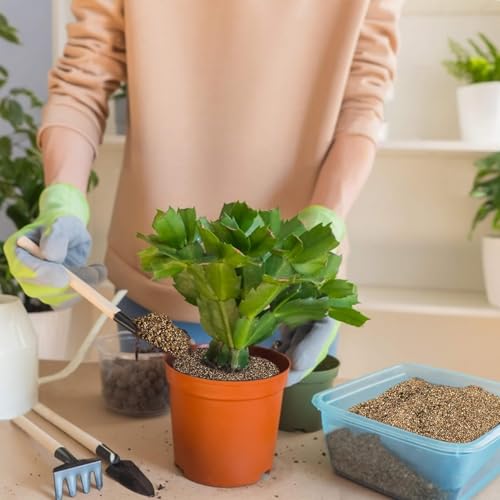 Organic Vermiculite 14.6 oz - Fine 1-3mm Granules for Gardening, Professional Soil Amendment, Ideal for Potted Plants and Horticulture, Bulk Pack (14.6Oz)