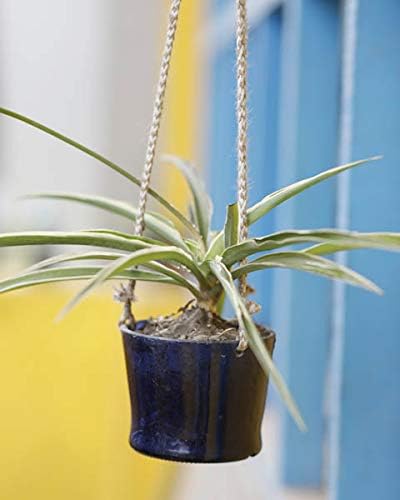 Kavi The Poetry-Art Project Recycled Glass Bottle Planter/Plant Holder for Terrace, Home Garden (Height X Diameter : 7.62 X 8.9 cm, Blue)