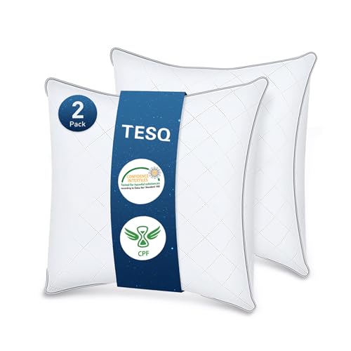 TESQ Set of 2 Luxury Hotel Quality Pillows, 60 x 60 cm, Soft, Breathable and Hypoallergenic, Oeko-TEX Certified, Suitable for All Sleeping Positions