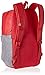 Nike Jordan Pivot Colorblocked Classic School Backpack (Gym Red)
