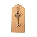 Bingcute Mixed Set of 30 Vintage Bronze Skeleton Key Charm with 30PCS Kraft Paper Gift Tags & 30 Feet Natural Jute Twine