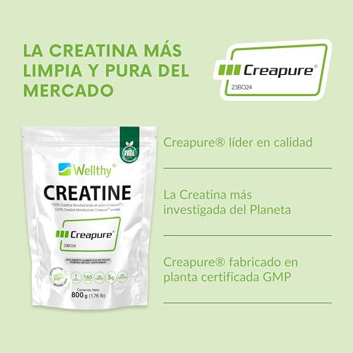 Wellthy Creatina Monohidratada Micronizada Creapure ® 800g. 100% Pura. Solo 1 Ingrediente Creatina Alemana Creapure®. Vegana, Sin Azúcar, 160 porciones, 5g por porción, Pre Entreno con Scoop. Pure. Proven. Perfect.