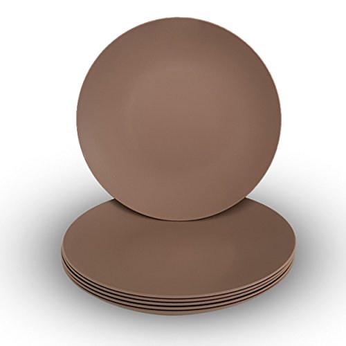 Coza Design- Unbreakable and Reusable Plastic Plate Set- BPA Free- Set of 6 (Gray)