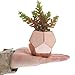 MyGift Small Artificial Plants Assorted Fake Succulents in Rose Gold Ceramic Planters Pot, Set of 3