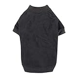 Zack & Zoey Basic Tee Shirt for Dogs, 20