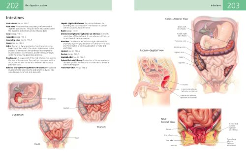 Anatomy Student's Self-Test Visual Dictionary: An All-in-One Anatomy Reference and Study Aid (Barron's Visual Dictionaries) - Thumbnail 5