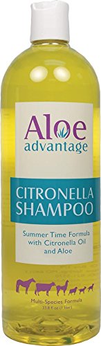 Aloe Advantage Citronella Shampoo, 1-liter